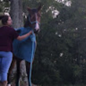 Meet your Posher, Alisha